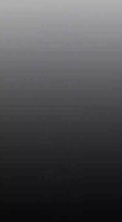 养老金的所有者 31-54 CHI