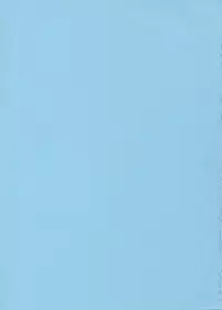 (C67) [TOTSUGEKI WOLF (Yuuki Mitsuru)] OVER and OVER (Full Metal Alchemist)