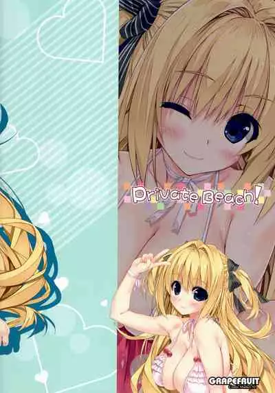 (C92) [GRAPEFRUIT (Shintarou)] Private Beach