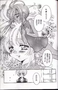 [Abe Ryu] [2000 Summer] Wolf and Cherry