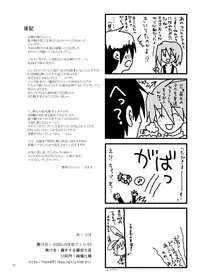 (C65) [Fujiya Honten (Thomas)] MIND (Ragnarok Online)