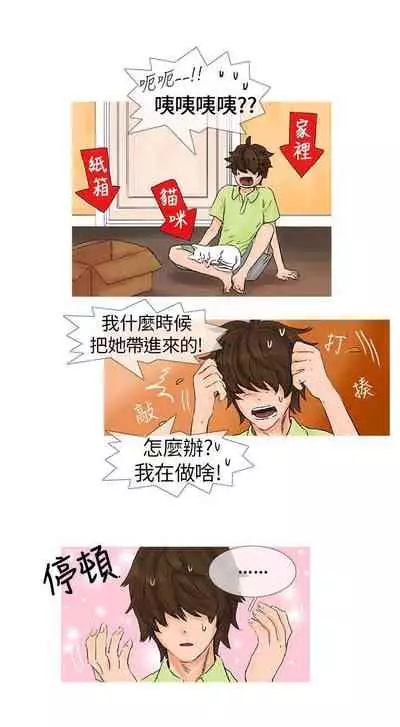 小野貓馴服手冊