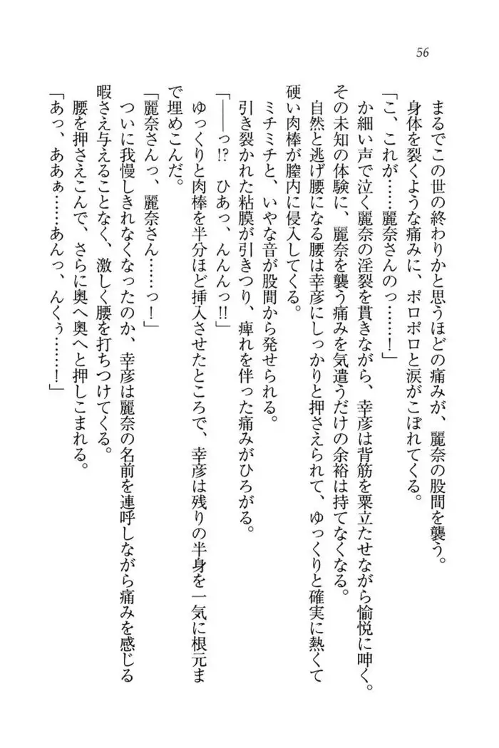 お嬢様☆お世継ぎ生産計画