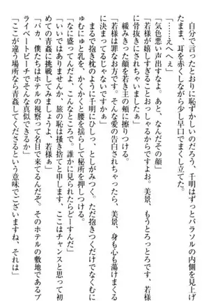 年上メイドの新婚日記