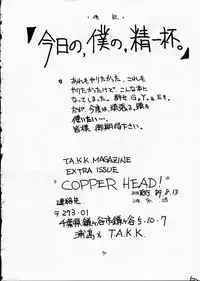 (C36) [T.A.K.K. (Various)] Copper Head! (Maison Ikkoku, Laputa, Wingman)