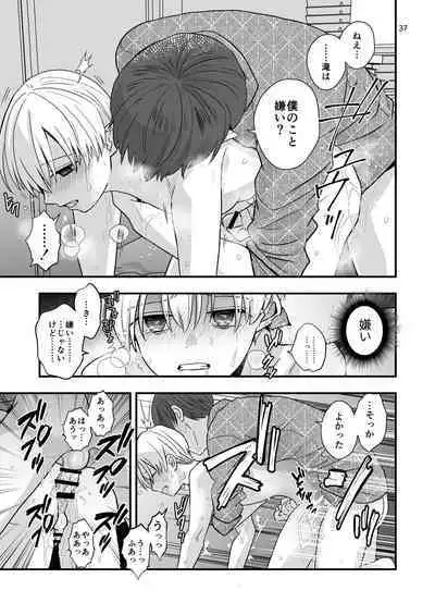 Aru Jiken no Zenjitsutan - A Prelude to an Incident