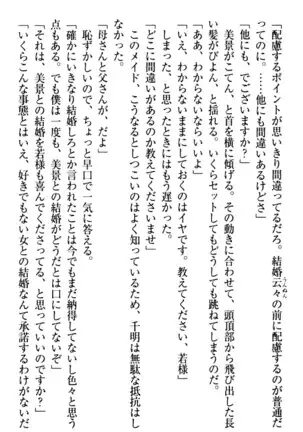 年上メイドの新婚日記