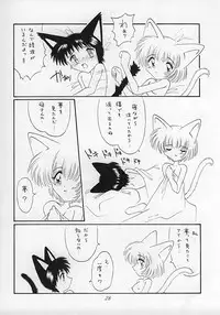 (C51) [Nekomimi Sorcery (Masamineko)] Ebaneko (Neon Genesis Evangelion)
