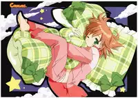 Canvas Visual Fan Book