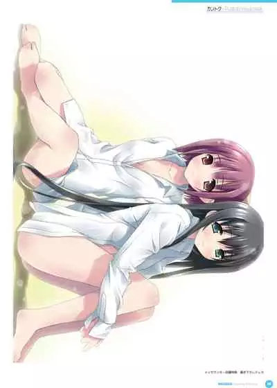 Kantoku Publicity Visual book