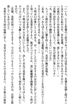 年上メイドの新婚日記
