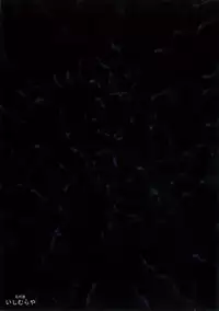 (C84) [Ishimura-ya (Ishimura)] Matowaritsuki (Touhou Project)