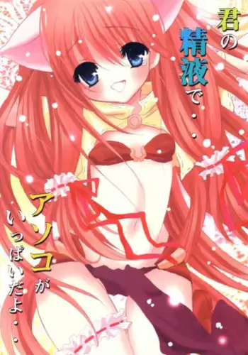 (C64) [Mikekodou (Mikeko)] Kimi no Seieki de.. Asoko ga Ippai da yo.. (Ragnarok Online)