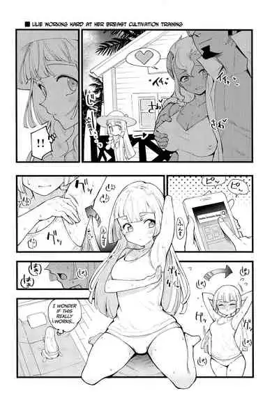 Hakase no Yoru no Joshu. Soushuuhen