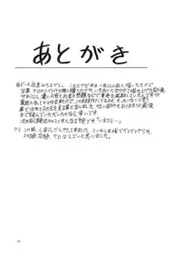 [Sangenshokudou (Chikasato Michiru)] EXEBON (Mega Man Battle Network)