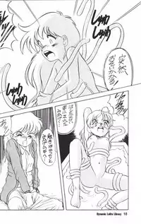 [Studio309] Dynamic Lolita Library