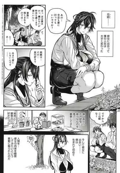 Harem Quest Ore to Bijo to Oppai to Isekai Nikuyoku Seikatsu