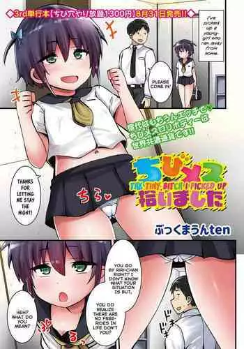Chibi Mesu Hiroimashita | The Tiny Bitch I Picked Up