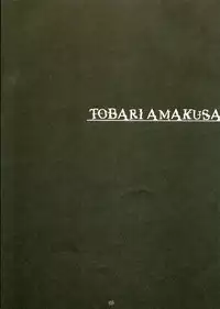 (SC28) [Multi-Link (Amakusa Tobari, Tessy)] LEAF RIGID (To Heart 2)